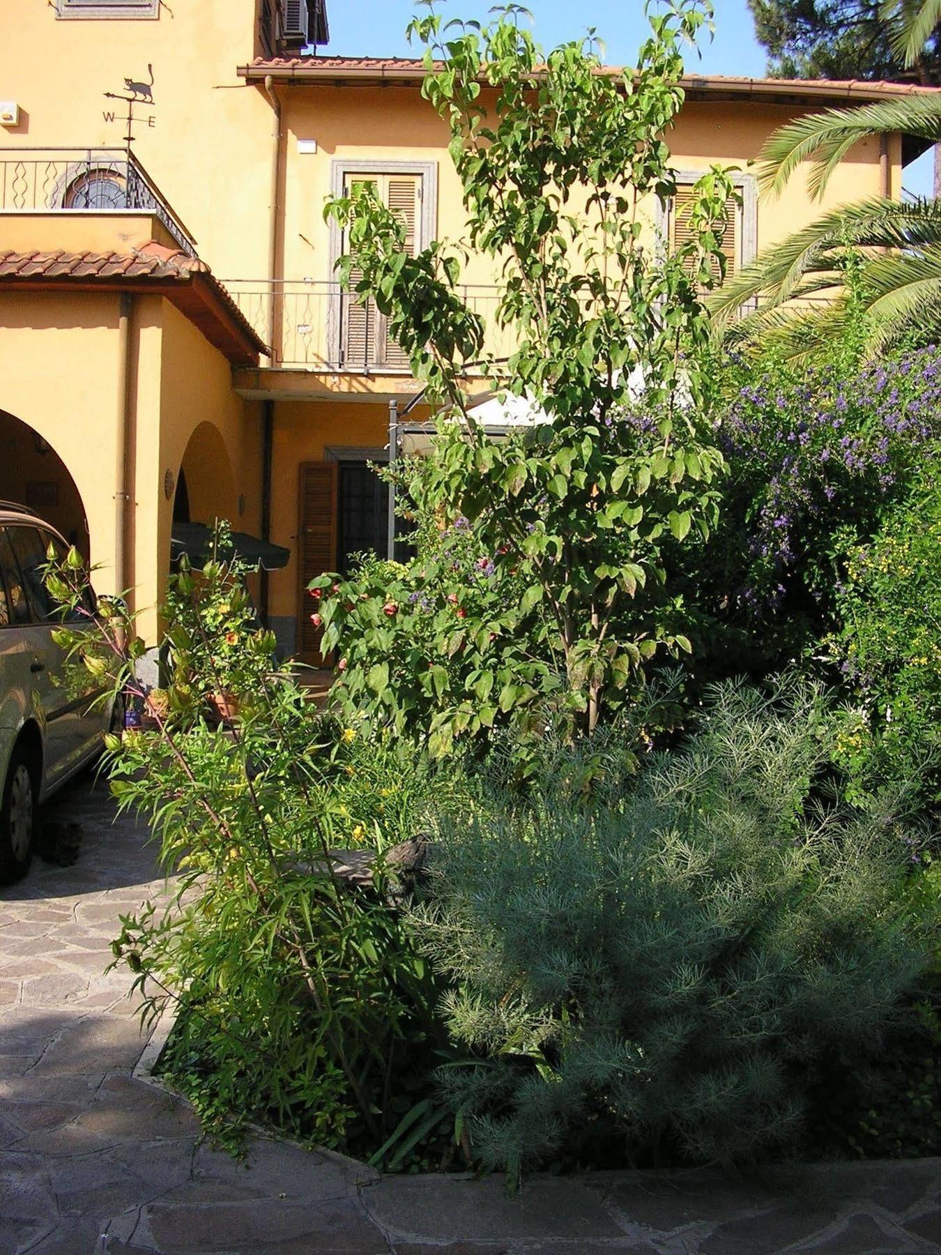 Bed and Breakfast Al Vecchio Olivo Фраскати Экстерьер фото